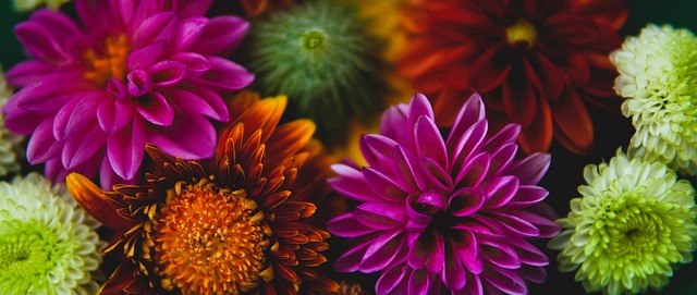 在对阵长春 在对阵长春