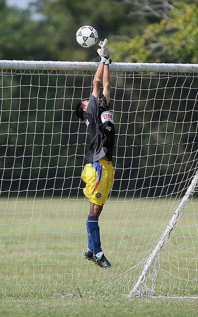 成功的关键 成功的关键