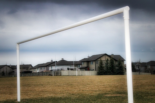 型为政坛人 型为政坛人