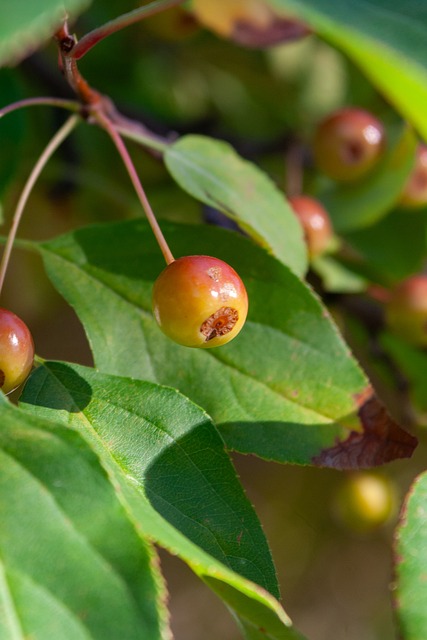 调整战术 调整战术