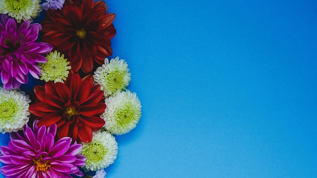 激起了大量 激起了大量