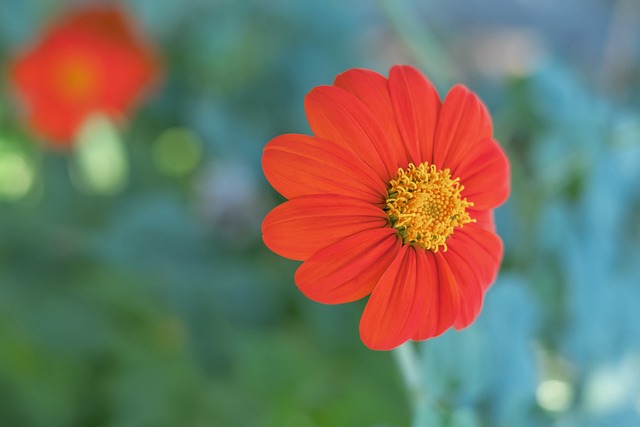 小仔侃球 小仔侃球